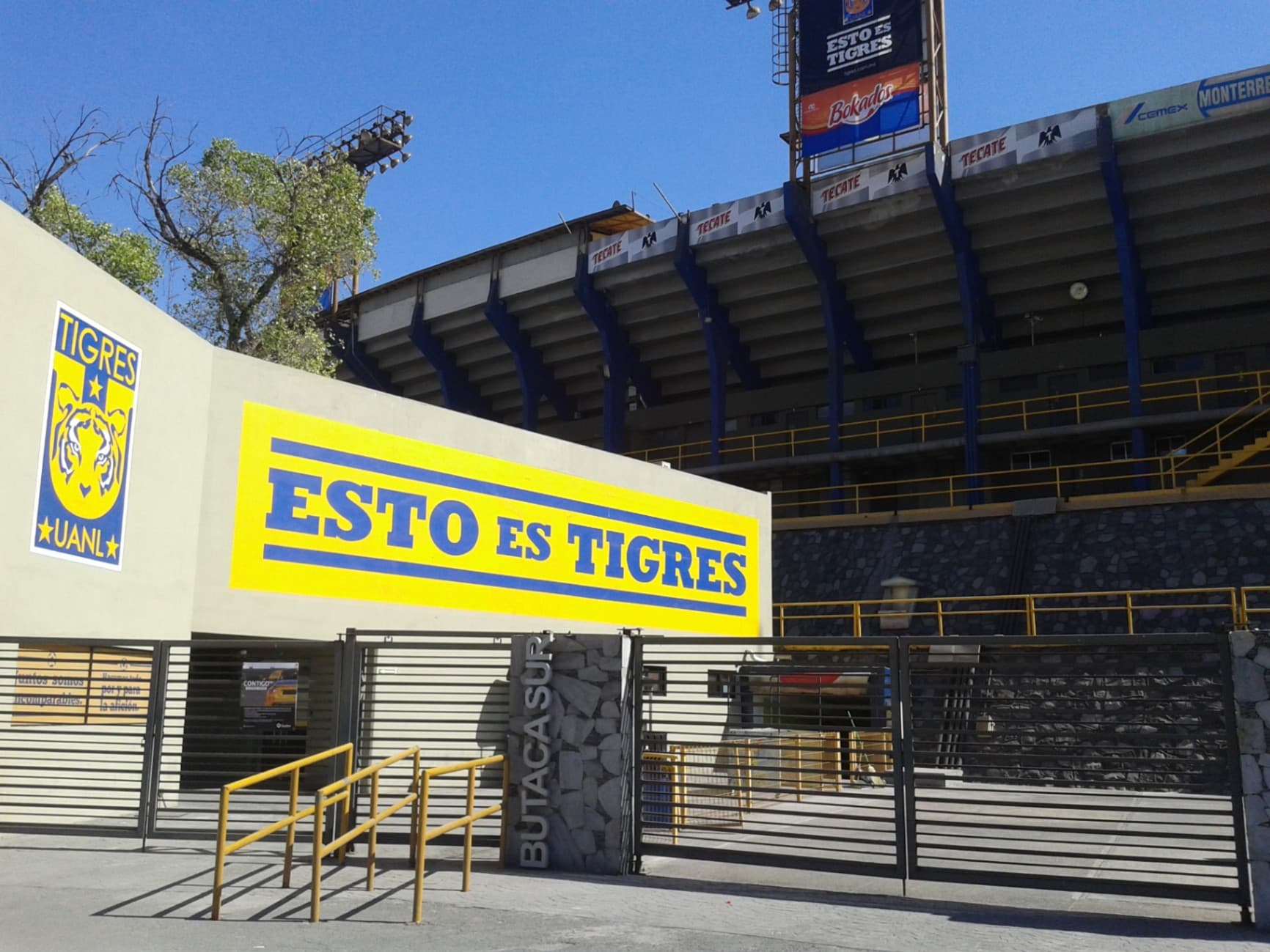 Chivas vs Tigres: más que un cruce de estilos, una serie marcada por ausencias y presión real